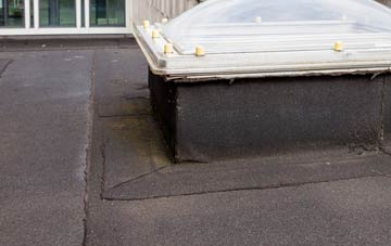 disadvantages of Tedstone Delamere flat roofs